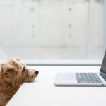 Contact Form 7でフォームを作って、何だかレイアウトが崩れるなと感じたら確認すること